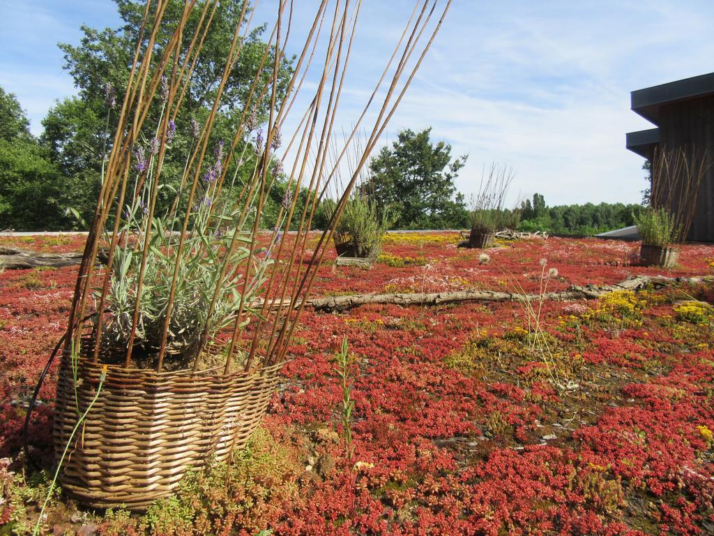 D'Une Autre Nature Mesland Exteriér fotografie